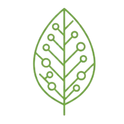 PKM (Pause Kafé Méditative)